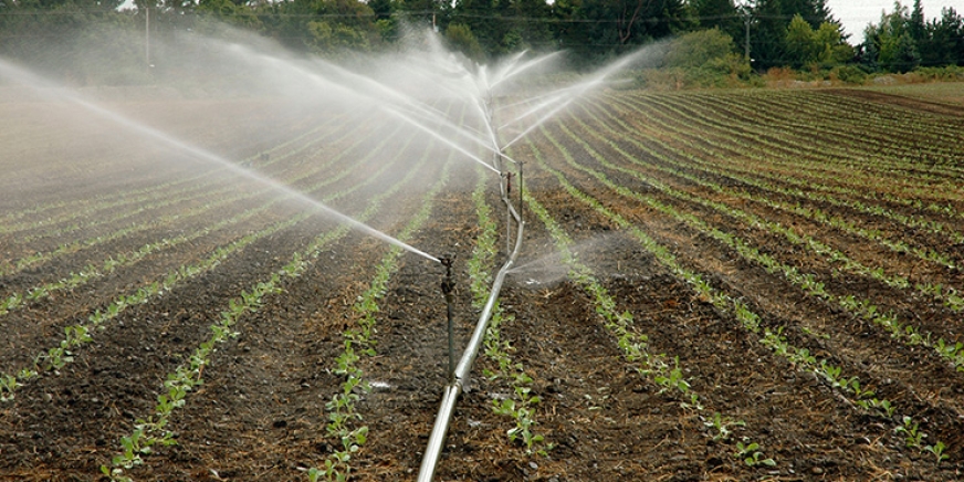 Fenacore analizará el alza de los costes por la guerra en su Congreso de Ciudad Real